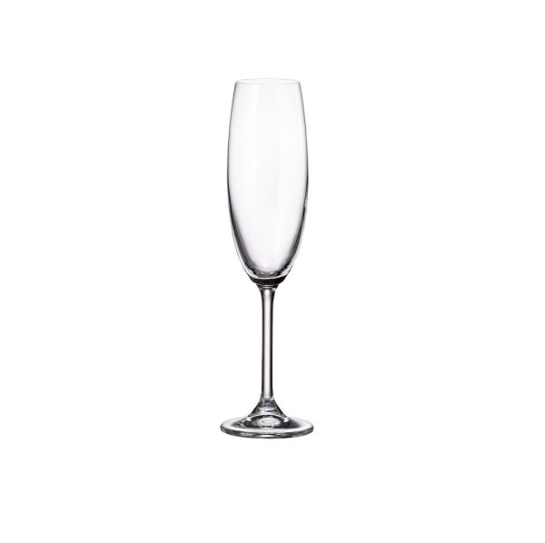 DASTI ΠΟΤΗΡΙ ΣΑΜΠΑΝΙΑΣ COLIBRI 22cl 6TMX